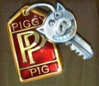 Piggy Riches The Key symbol